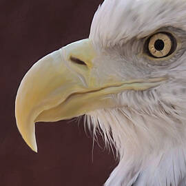 Eagle Portrait Freehand