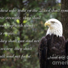 Eagle Scripture Isaiah by Jill Lang