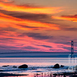 Early Bird Big Mac by Todd Bielby