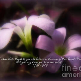 Easter Scripture Greeting Card - Pink Oxalis