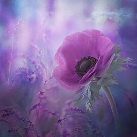 Ecstasy by Natalia Simongulashvili