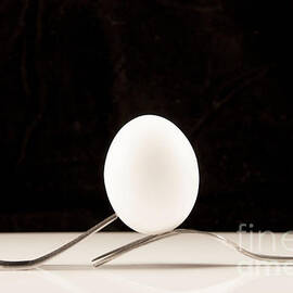 Egg and Fork by Juli Scalzi