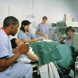 Egg Removal Using Trans-vaginal Probe In Ivf by Science Photo Library