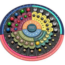 Elementary Particle by Science Photo Library