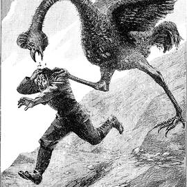 Elephant Bird Attack by Science Photo Library