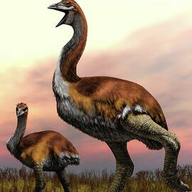 Elephant Birds by Science Photo Library