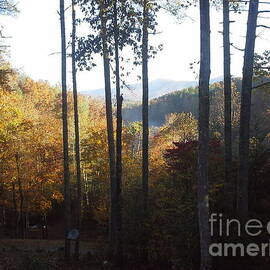 Ellijay color by Jan Dappen