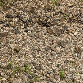 Empty Riverbed by THP Creative