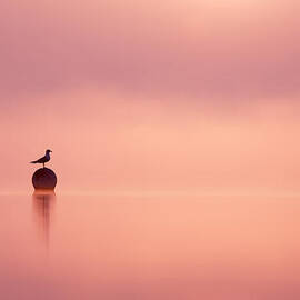 Empty Spaces by Roeselien Raimond