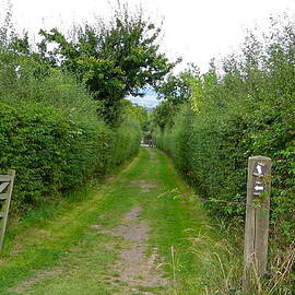 English Footpath by Denise Mazzocco