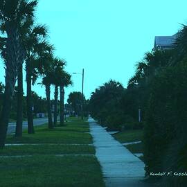 Evening Stroll at Isle of Palms