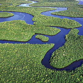 Everglades Waterways by Patrick Lynch