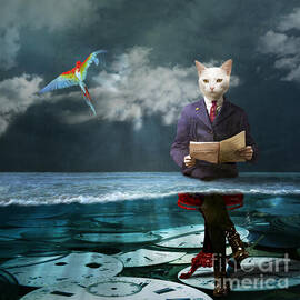 Everything is a matter of time by Martine Roch