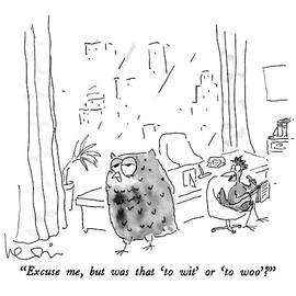 Excuse Me, But Was That 'to Wit' Or 'to Woo'? by Arnie Levin