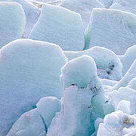 Exit Glacier At Harding Ice Field by Panoramic Images