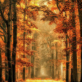 Exit The Portal by Lars Van De