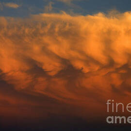 Faces in the Clouds