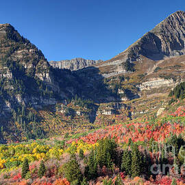 Fall at Mt. Timpanogos from Sundance - Utah  by Gary Whitton