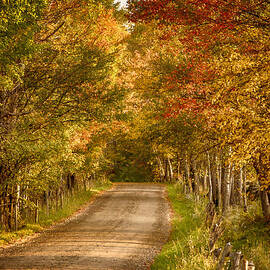 Fall color along a Peacham Vermont backroad