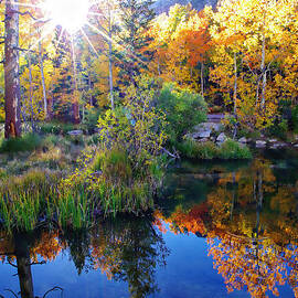 Fall Color Reflection along Bishop Creek by Scott McGuire
