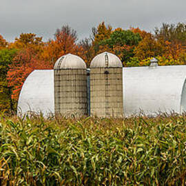 Fall Colors On A Farm by Paul Freidlund