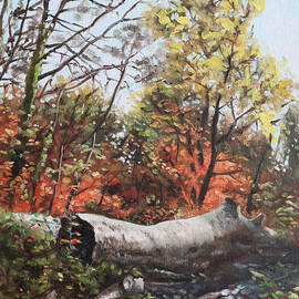 Fallen trees on Southampton Common during Autumn by Martin Davey