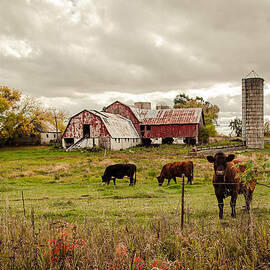 Farm Living by Karen Varnas