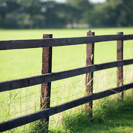 Fenceline by Peter Chadwick Lrps