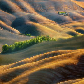 Fields by Krzysztof Browko