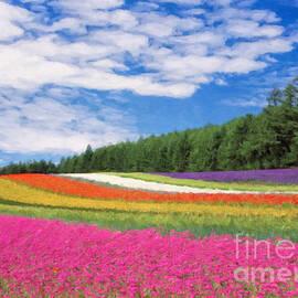 Fields of Flowers