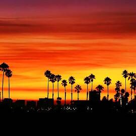 Fire Sunset in Long Beach