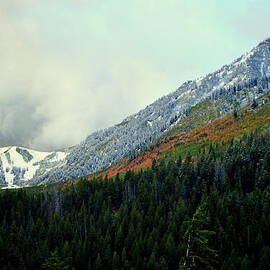 First Snow Sundance Utah by Nathan Abbott