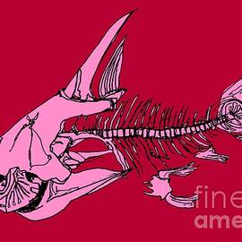 Fish Skeleton, Illustration