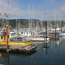 Fishing Boats In Garabaldi Harbor by Tom Janca