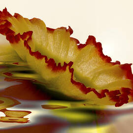 Floating daffy by Jean Noren