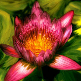 Flower - Lotus - The lotus blossom  by Mike Savad