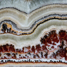 Flower Onyx, Close-up Of Pattern by Darrell Gulin