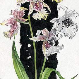 Flower ORCHID 06 Elena Yakubovich