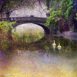 Flowered Park Bridge And Swans