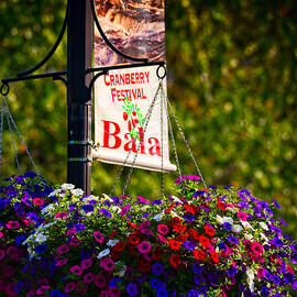 Flowerpot in Bala