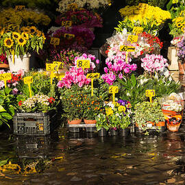 Flowers for Sale at Campo de Fiori - My Favourite Market in Rome Italy