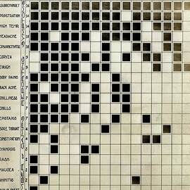 Flu Symptoms Chart by Science Photo Library