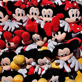 For the Mickey Mouse Lovers