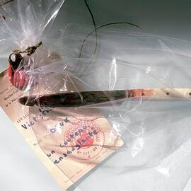 Forensic Evidence For Dna Analysis by Science Photo Library