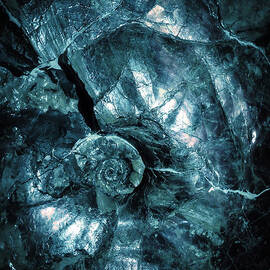 Fossil Blue Abstract by Edward Fielding