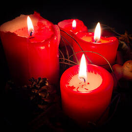 Four red candles for advent by Matthias Hauser