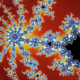 Fractal Geometry: Detail From Mandelbrot Set by Science Photo Library