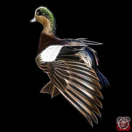 Fractal Wigeon 7702 - BB by James Ahn