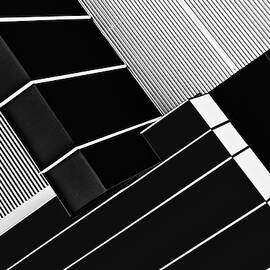 Fragile Symmetry by Paulo Abrantes