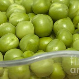 Fresh Green Peas by Iris Richardson